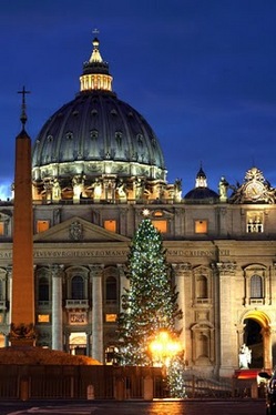 Vatican Christmas Tree.jpg